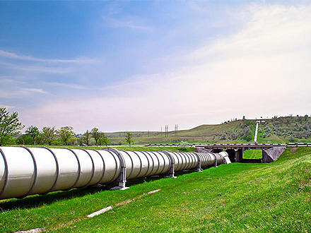 中欧网址客户案例一